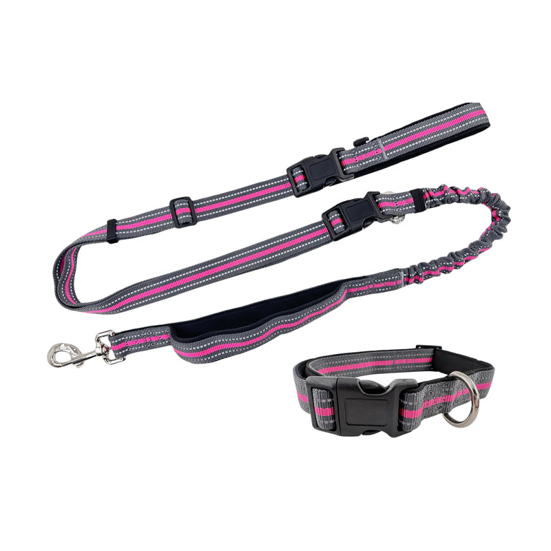 Double Handles Dog Leash for Control Safety Training