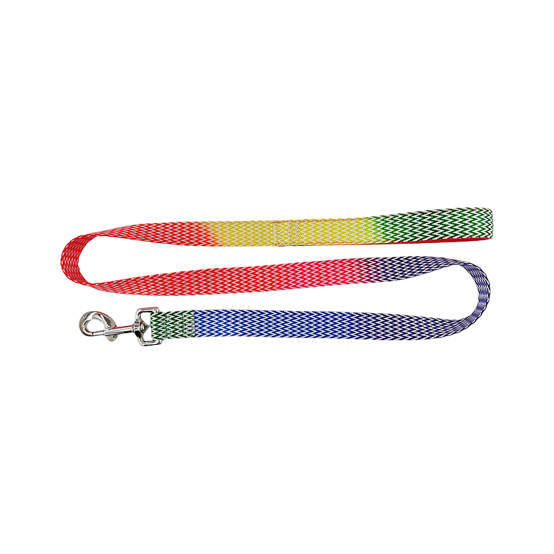 D Ring Dog Slip Leads Leash Kennel Nylon Rope