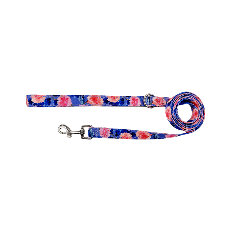 Dog Training Leash Durable PVC Coated Webbing Long Leash