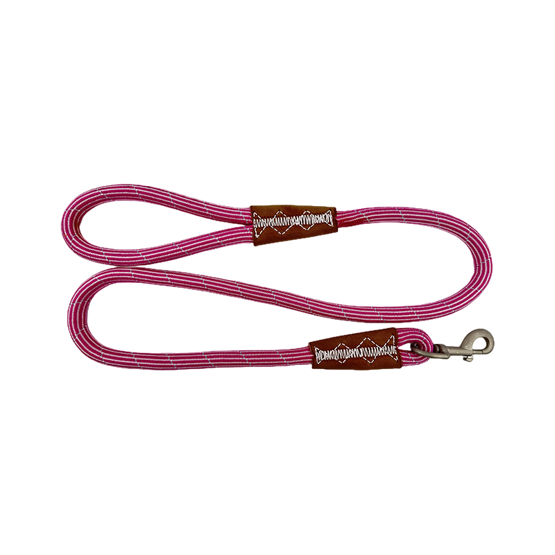 Heavy Duty Durable Braided Nylon Lead