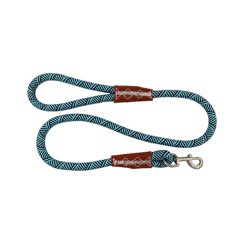 Heavy Duty Durable Braided Nylon Lead