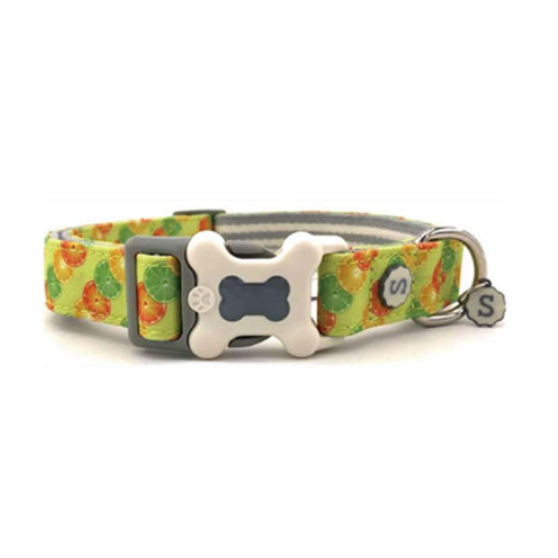 Red Dingo Tropical Green Small Dog Collar